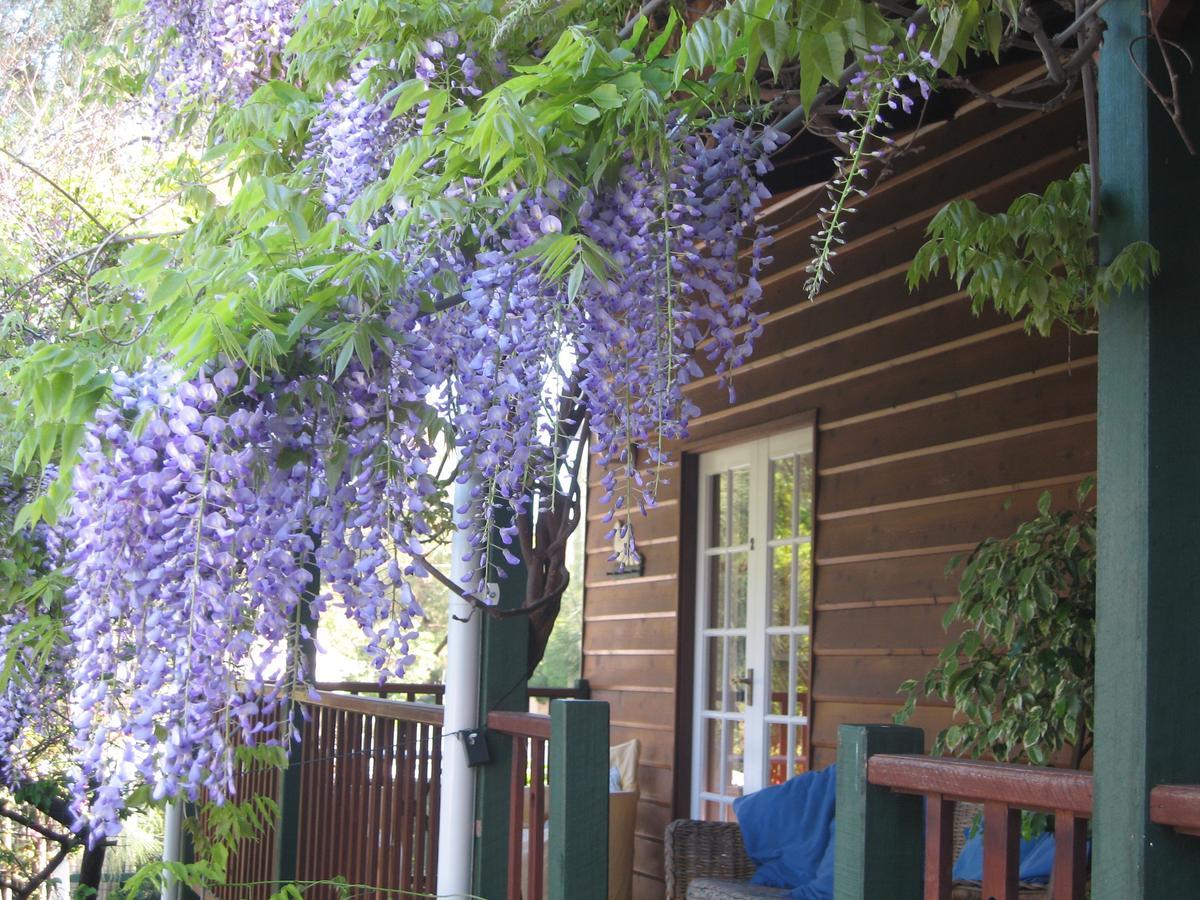 Rosemoore Bed & Breakfast Perth Exteriér fotografie